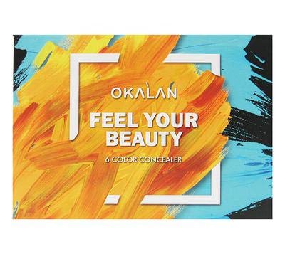 Feel Your Beauty 6 Color Concealer (B palette)