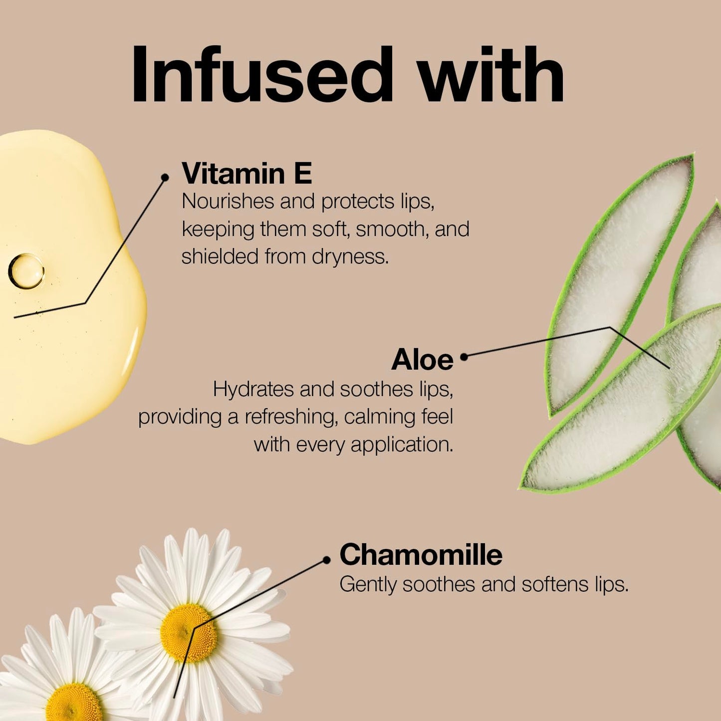 Palladio Retractable Waterproof Lip Liner High Pigmented and Creamy Color Slim Twist Up Smudge Proof Formula with Long Lasting All Day Wear No Sharpener Required, Raisin, 1 Count