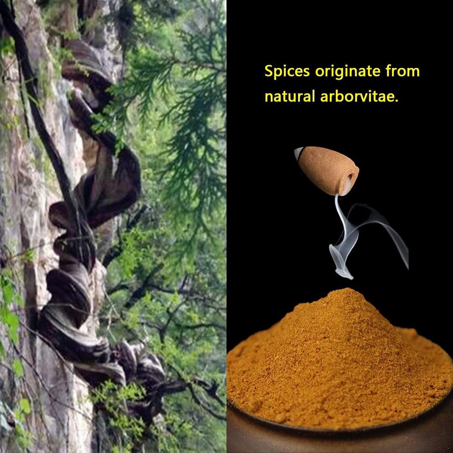 600 pcs Backflow Incense Cones for Waterfall Mixed Natural Scents Cone Incense for Meditation Relax in 2 Bottles