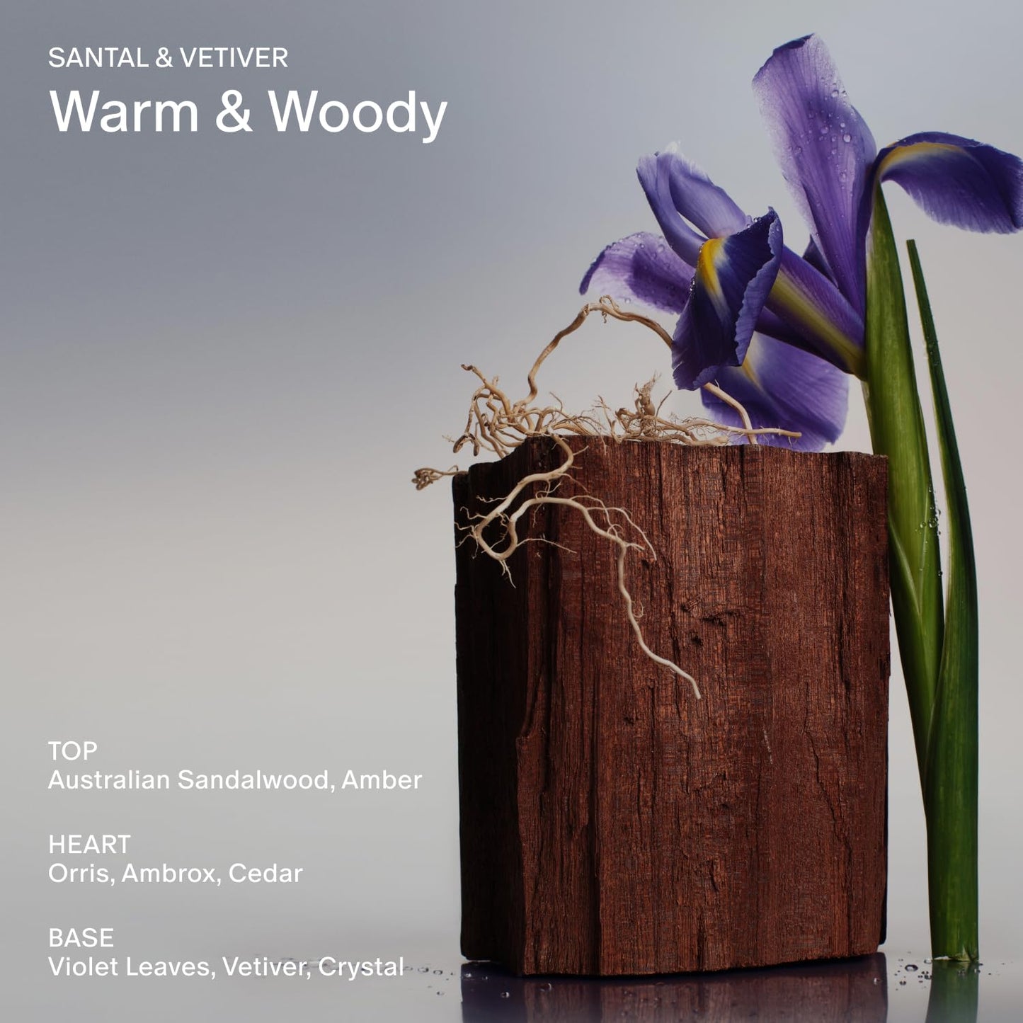 SALT & STONE Aluminum Free Deodorant | Extra Strength 48 Hour Protection for Women & Men | Made with Seaweed Extracts, Shea Butter & Prebiotics (Santal & Vetiver)