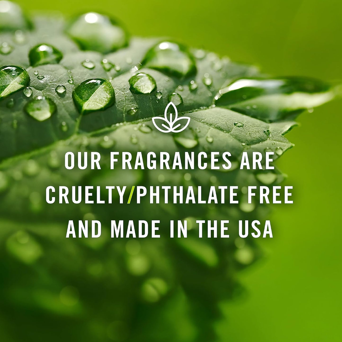 P&J Trading Fragrance Oil | Cinnamon Oil 30ml - Candle Scents for Candle Making, Freshie Scents, Soap Making Supplies, Diffuser Oil Scents