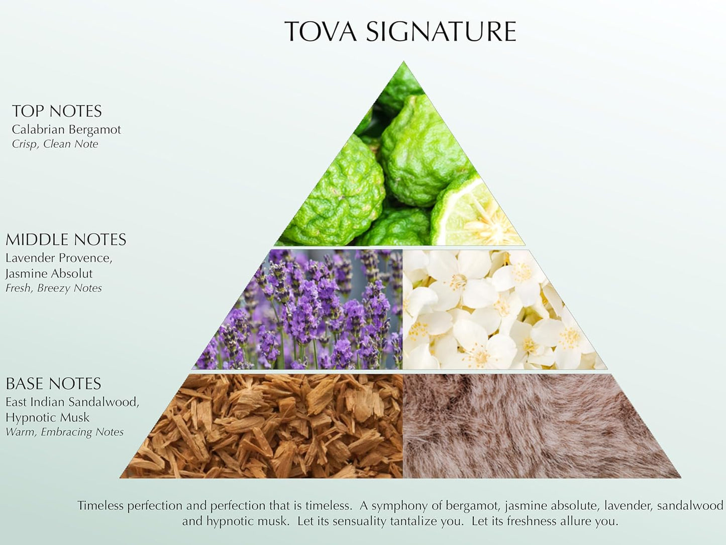 Tova Signature Solid Perfume Compact – Pocket Perfume Dab-On for Women – Bergamot Jasmine Musk – USA-Made & Cruelty-Free – 2.4 g