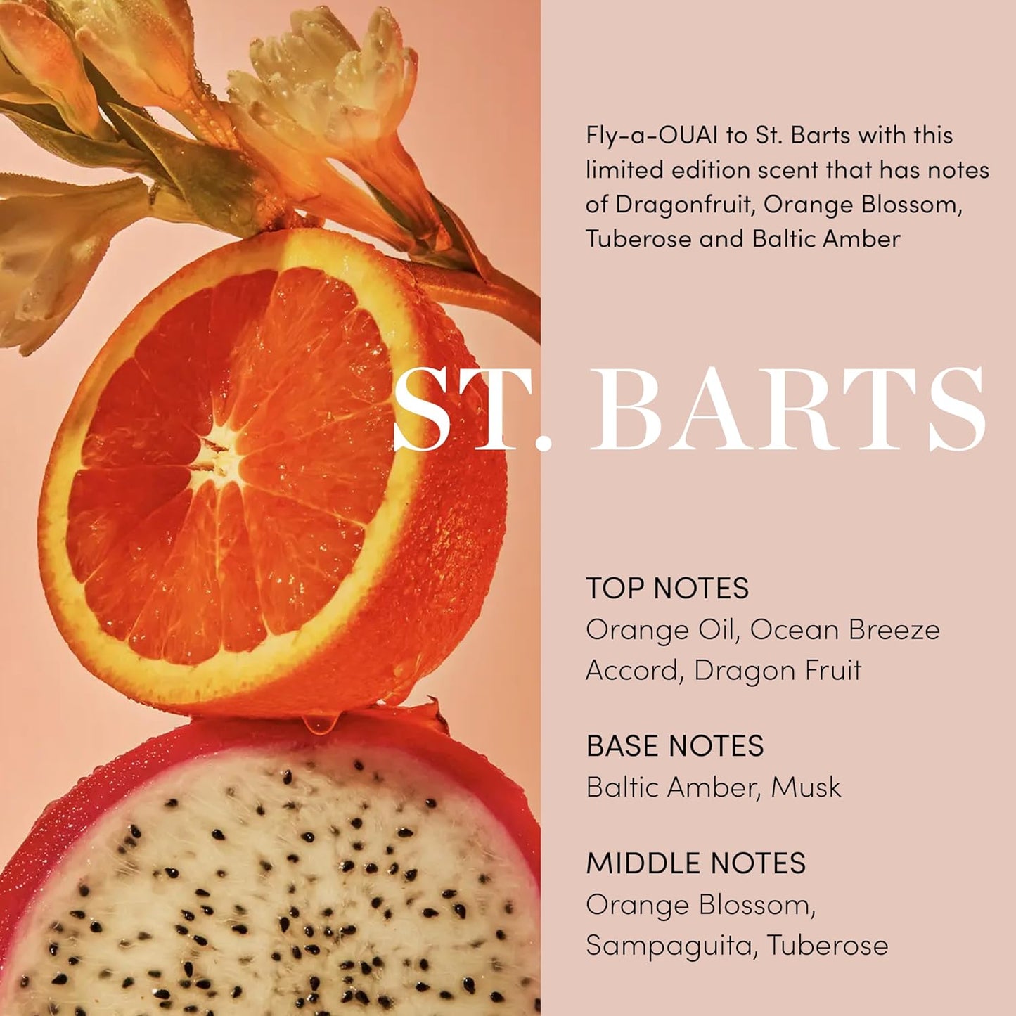 OUAI Body Cream, St. Barts - Hydrating Whipped Body Cream with Cupuaçu Butter, Coconut Oil and Squalane - Softens Skin and Delivers Healthy-Looking Glow - Sulfate-Free Skin Care (7.5 Oz)